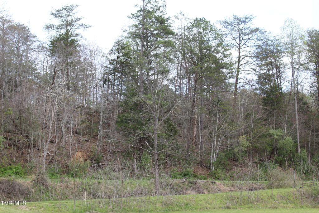 Photo of 1 Reeds Creek Road, Keokee, VA 24265 (MLS # 9993968)