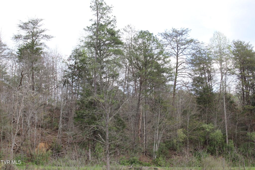 Photo of 1 Reeds Creek Road, Keokee, VA 24265 (MLS # 9993968)