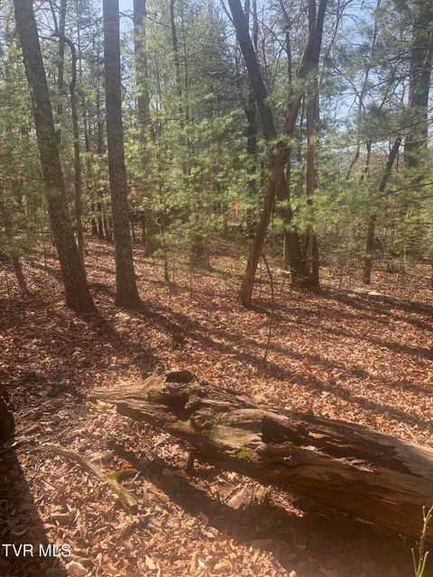 Tbd Jr Gray Road Greeneville TN 37743