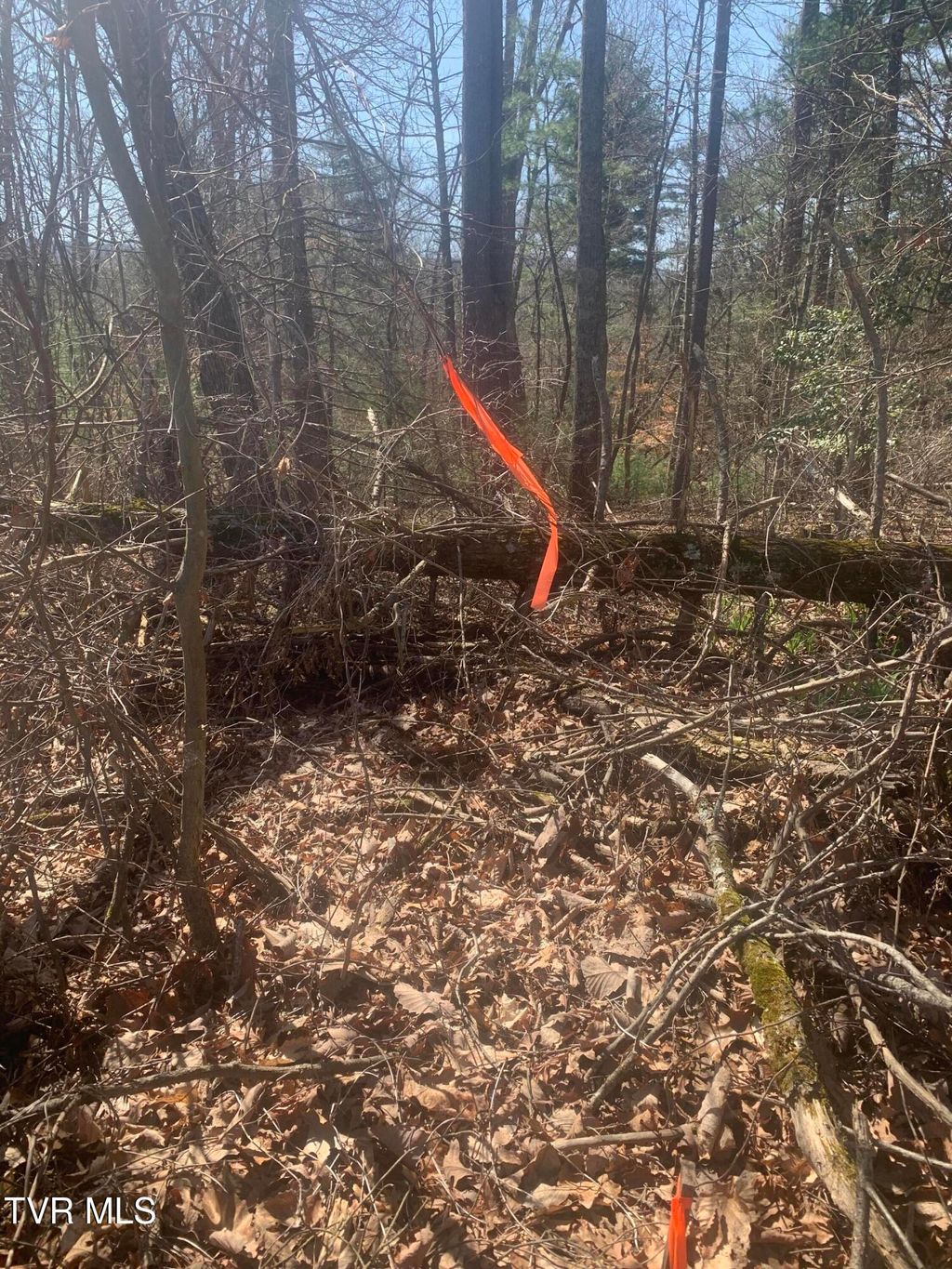 Photo of Tbd Junior Gray Road, Greeneville, TN 37743 (MLS # 9992386)