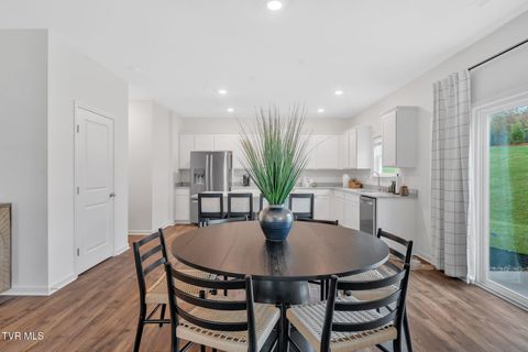 Tiny photo for 1161 Aspen Terrace, Greeneville, TN 37745 (MLS # 9986435)