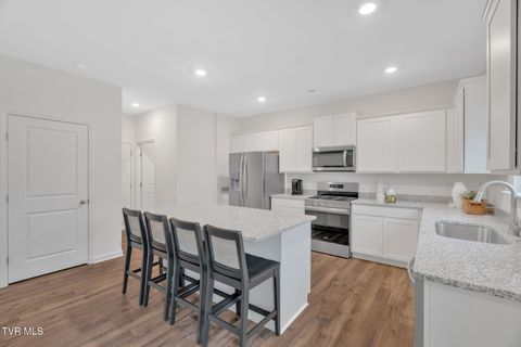 Tiny photo for 1161 Aspen Terrace, Greeneville, TN 37745 (MLS # 9986435)