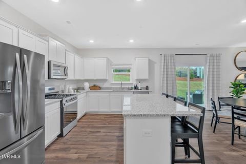 Tiny photo for 1161 Aspen Terrace, Greeneville, TN 37745 (MLS # 9986435)