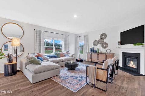 Tiny photo for 1161 Aspen Terrace, Greeneville, TN 37745 (MLS # 9986435)