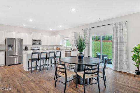Tiny photo for 1161 Aspen Terrace, Greeneville, TN 37745 (MLS # 9986435)