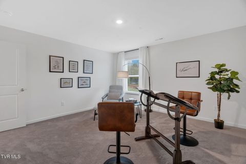 Tiny photo for 1161 Aspen Terrace, Greeneville, TN 37745 (MLS # 9986435)
