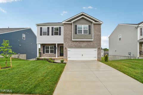 315 Terrapin Drive Johnson City TN 37604