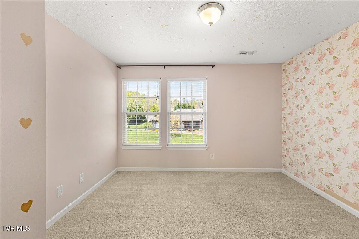 474 Cameron Court, Jonesborough, Tennessee image 20