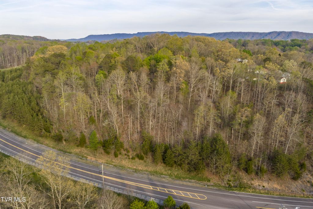 Photo of 73 Central North Avenue, Church Hill, TN 37642 (MLS # 9994097)