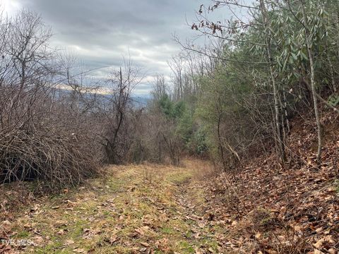 Vacant Land For Sale - TBD H Proffitt Lane<br/> Johnson County, Butler, TN 37640