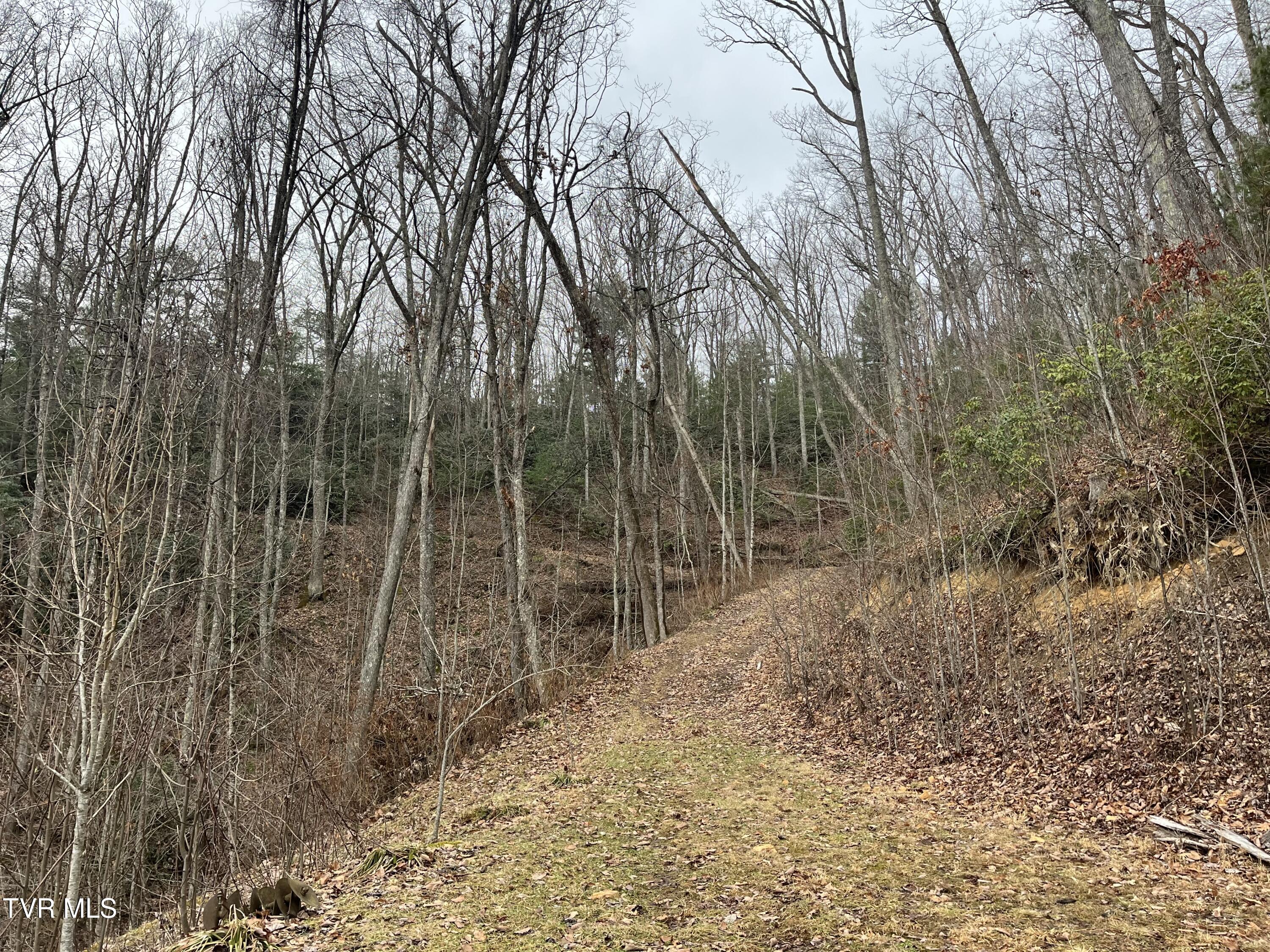 Tbd H Proffitt Lane, Butler, Tennessee image 9