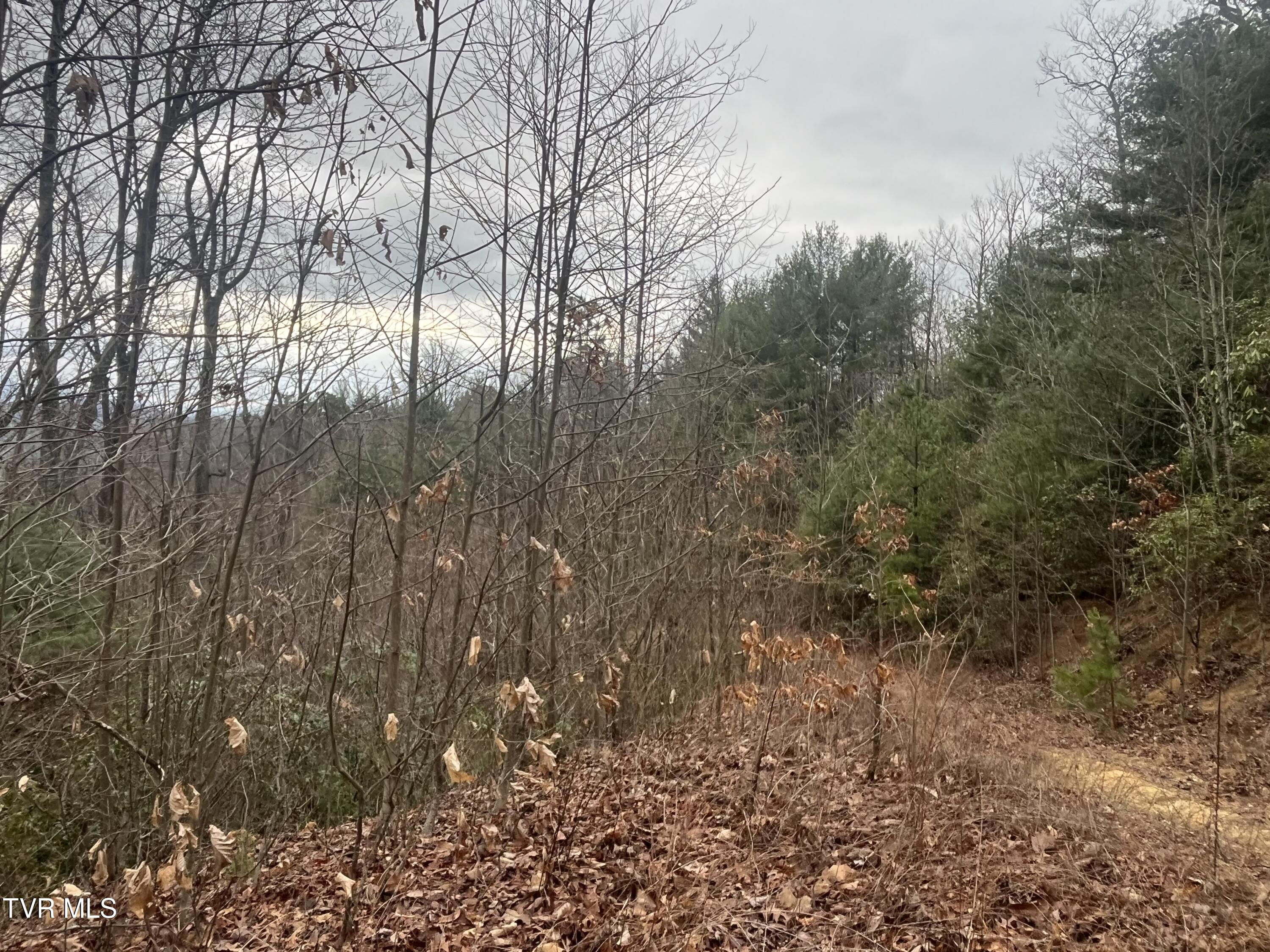 Tbd H Proffitt Lane, Butler, Tennessee image 10