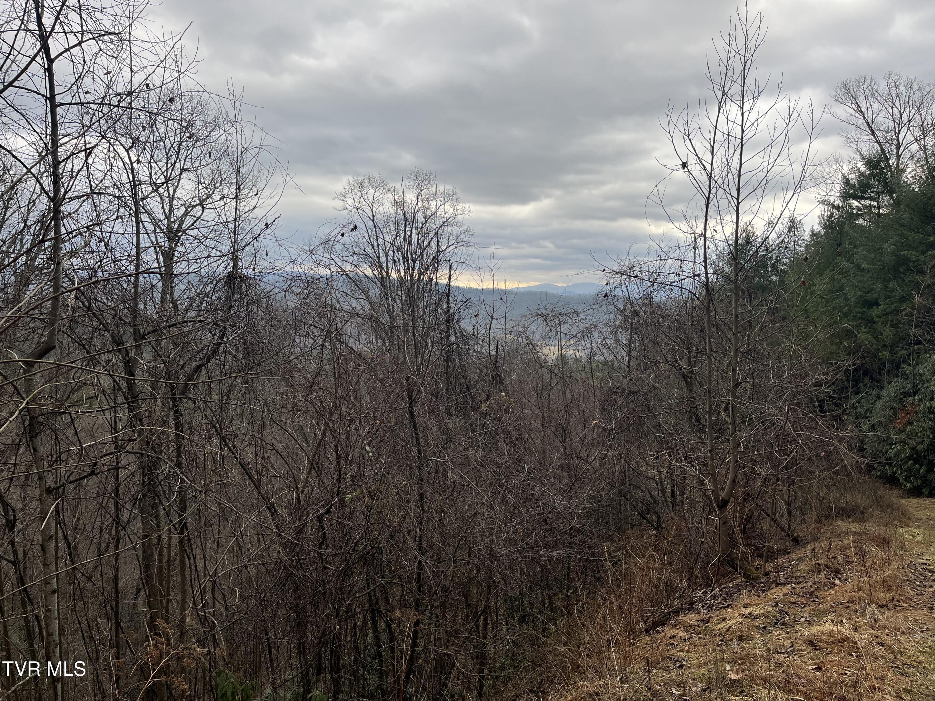 Tbd H Proffitt Lane, Butler, Tennessee image 6