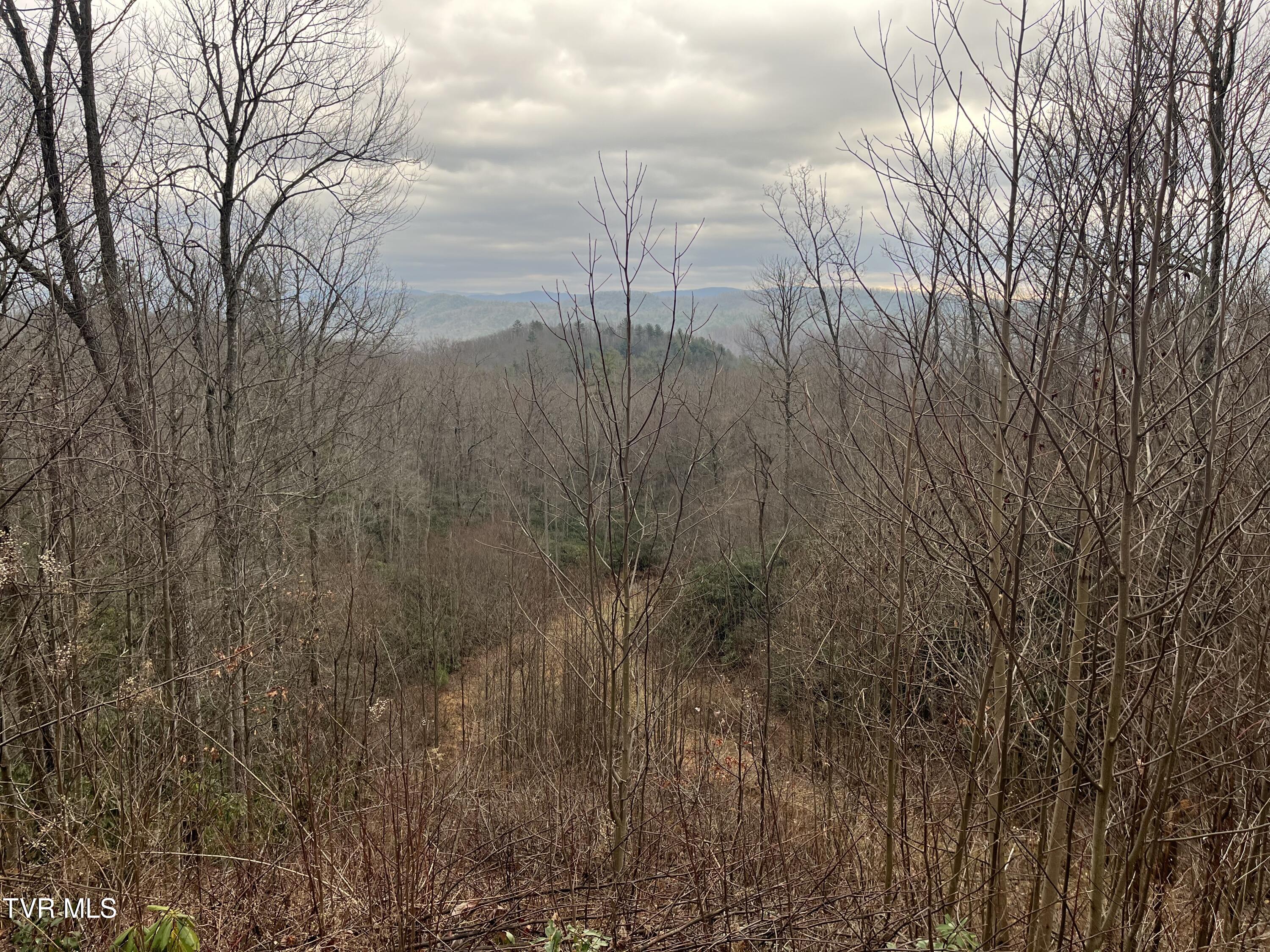 Tbd H Proffitt Lane, Butler, Tennessee image 7