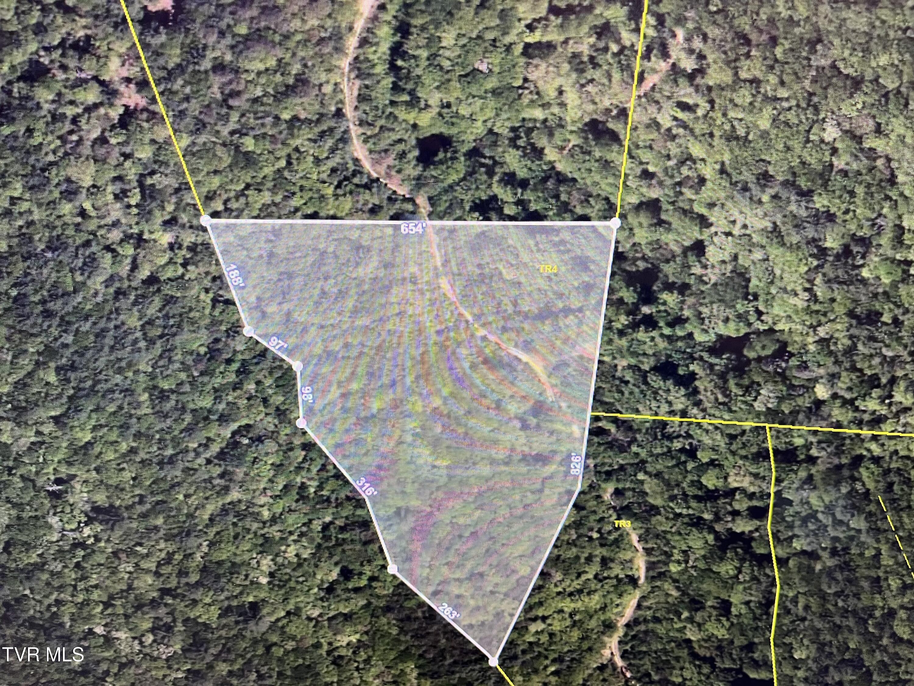 Tbd H Proffitt Lane, Butler, Tennessee image 12
