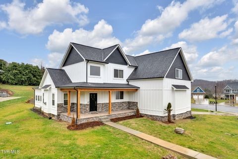 Photo of 283 Old Island Trail, Kingsport, TN 37664 (MLS # 9993158)