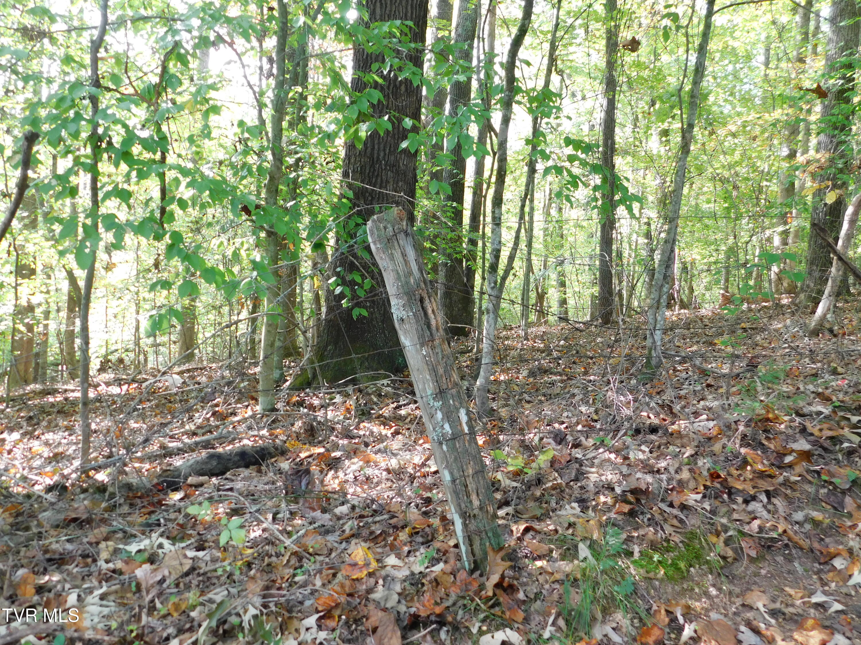 Tbd Old Harlan Road