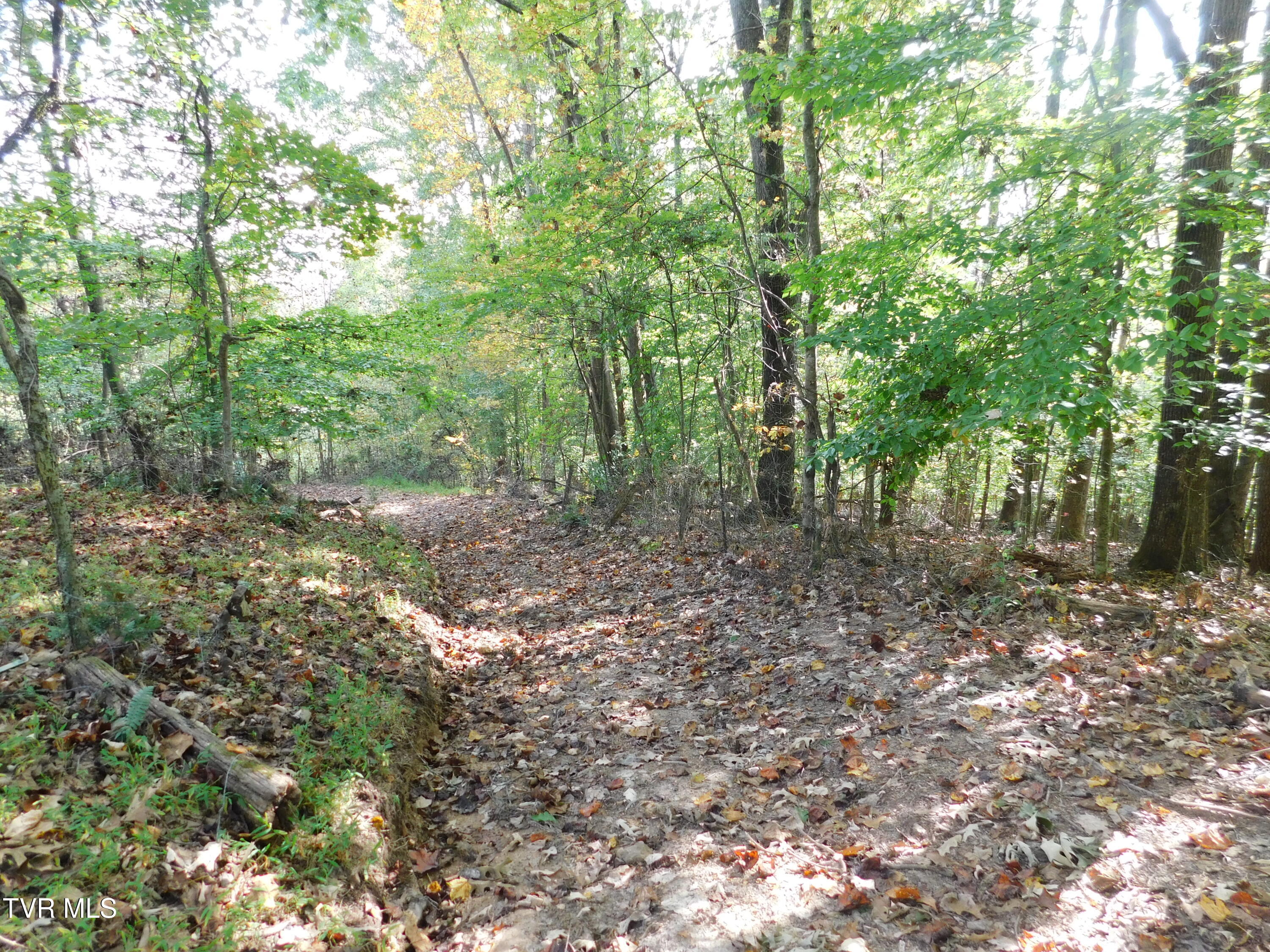 Tbd Old Harlan Road