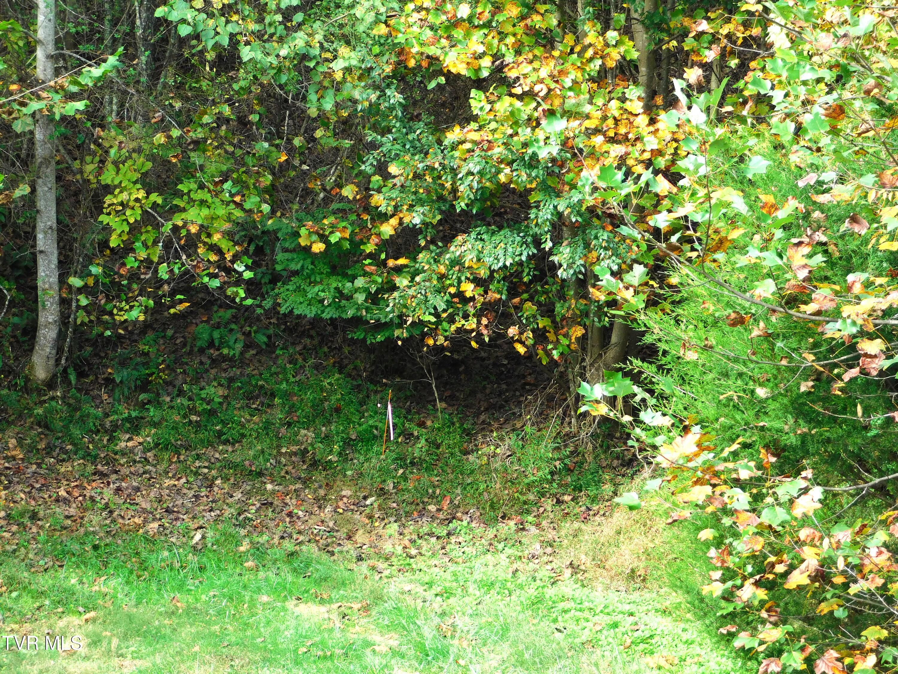 Tbd Old Harlan Road