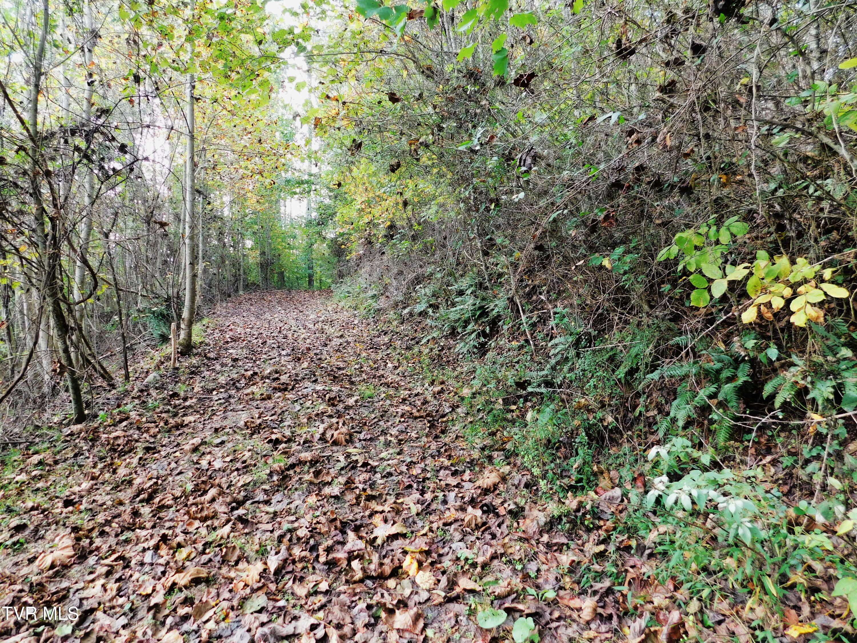 Tbd Old Harlan Road