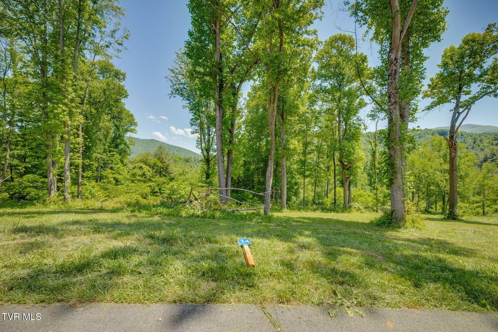 Photo of 34 Glen Eagle Trl/Cowan Town Rd Road, Butler, TN 37640 (MLS # 9995768)