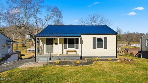 Photo of 2020 Holly Street, Kingsport, TN 37660 (MLS # 9989659)