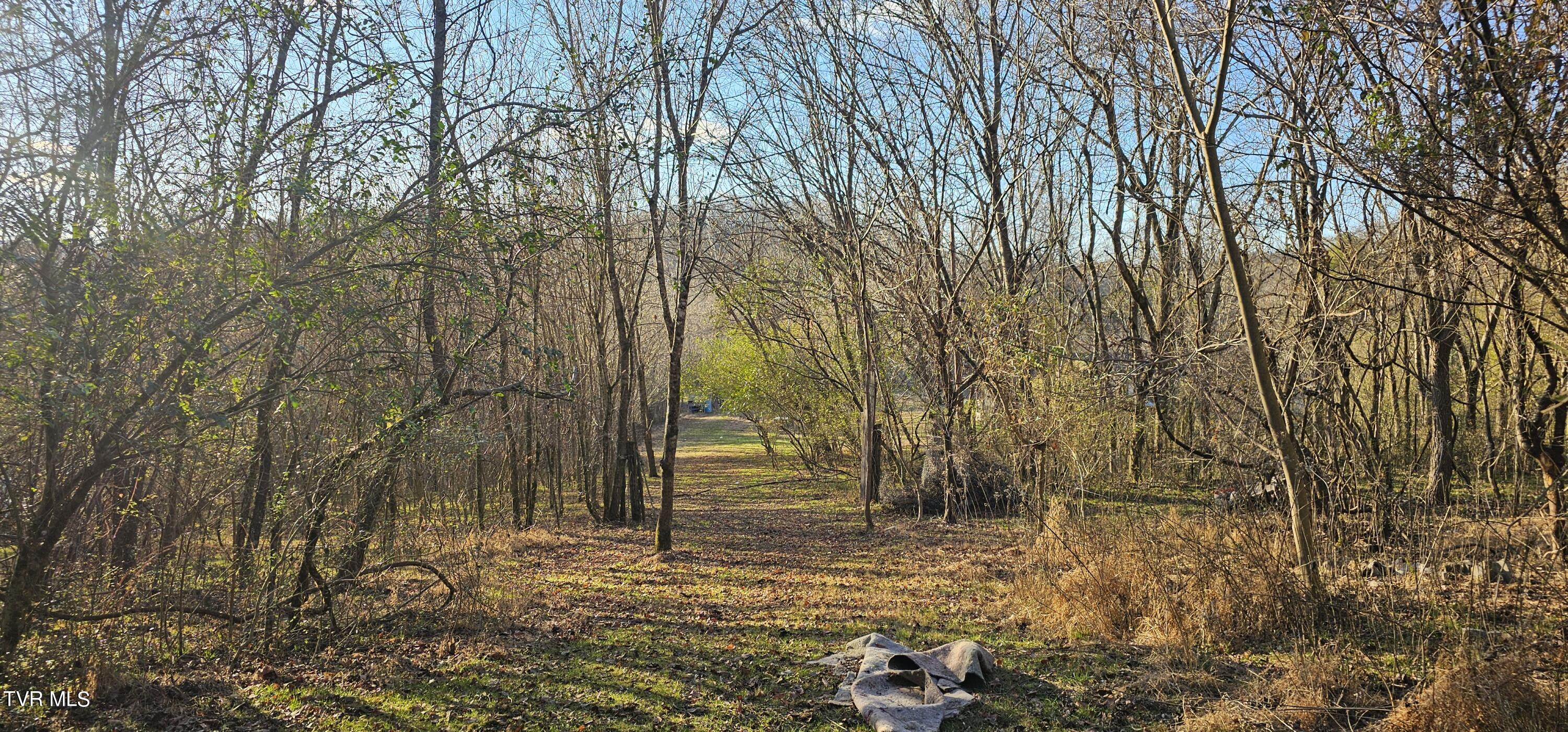2840 Three Springs Road, Whitesburg, Tennessee image 41