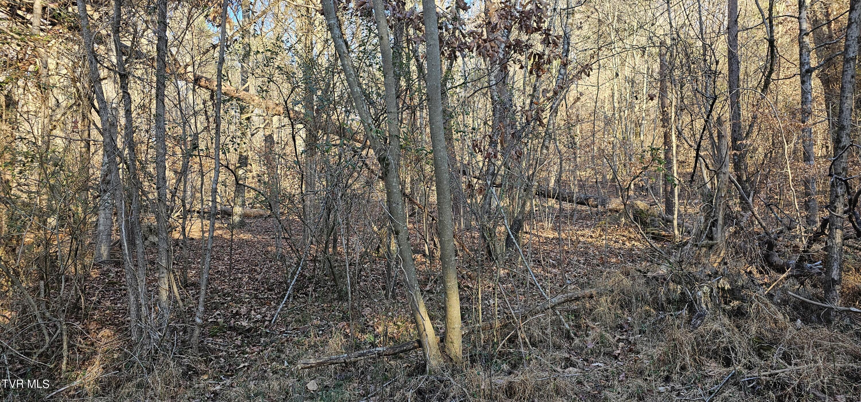 2840 Three Springs Road, Whitesburg, Tennessee image 40