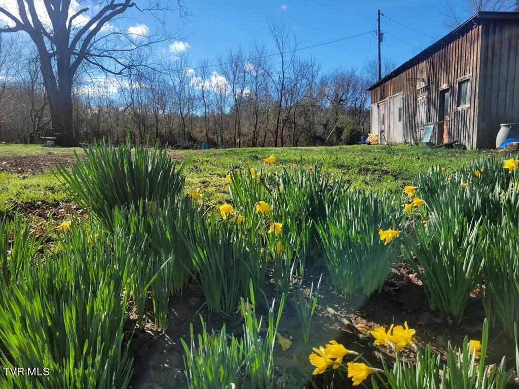 2840 Three Springs Road, Whitesburg, Tennessee image 31