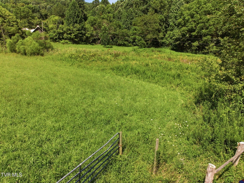 Photo of 238 Black Locust Road, Sneedville, TN 37869 (MLS # 9991489)