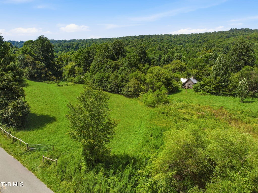 Photo of 238 Black Locust Road, Sneedville, TN 37869 (MLS # 9991489)