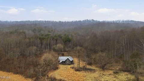 Vacant Land For Sale - 238 Black Locust Road<br/> Sneedville, TN 37869