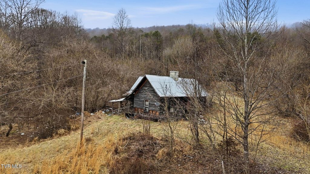 Photo of 238 Black Locust Road, Sneedville, TN 37869 (MLS # 9991489)