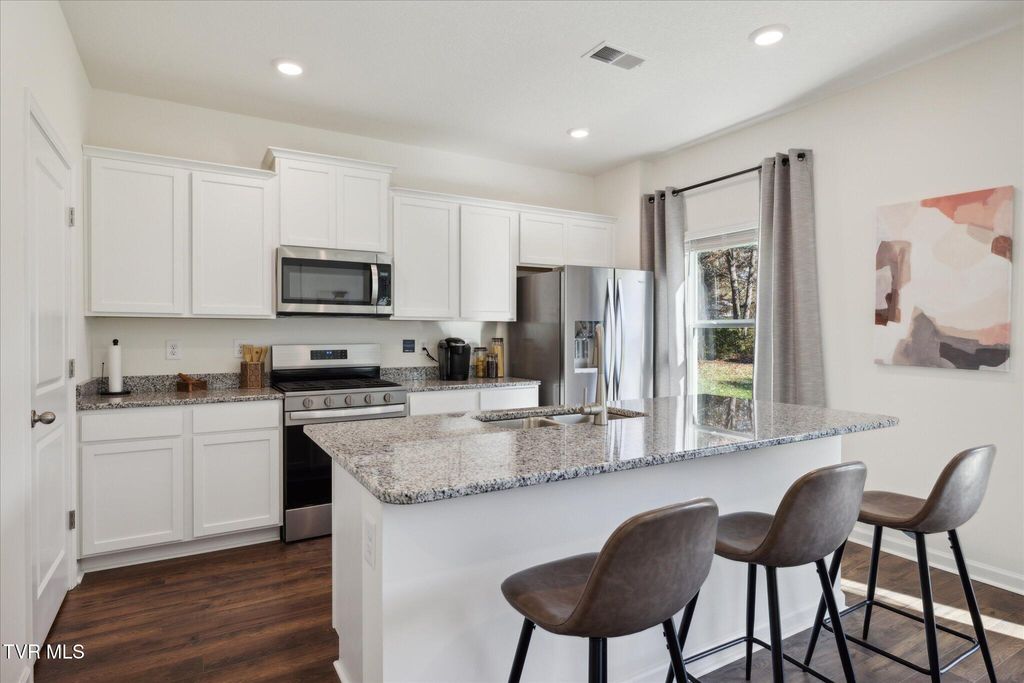 Photo of 111 Mint Court, Bluff City, TN 37618 (MLS # 9989316)