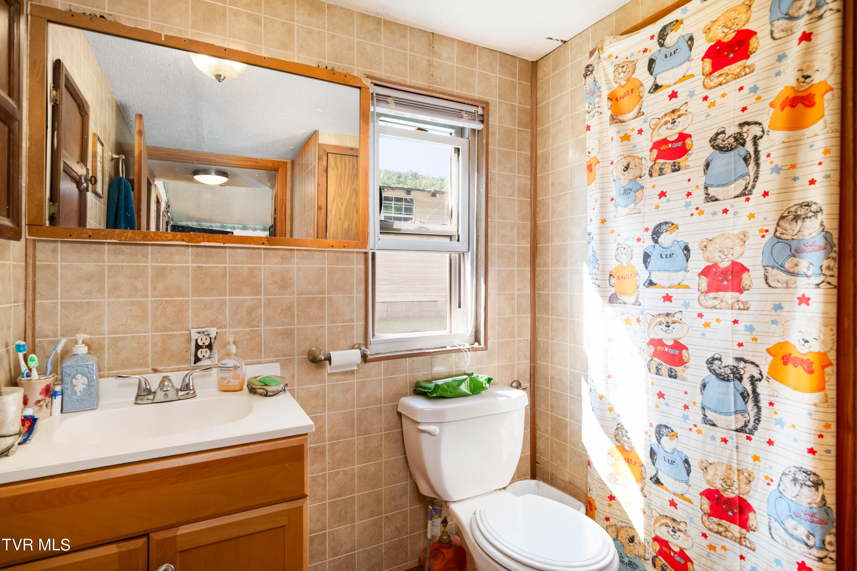 380 Odom Branch Road, Erwin, Tennessee image 12