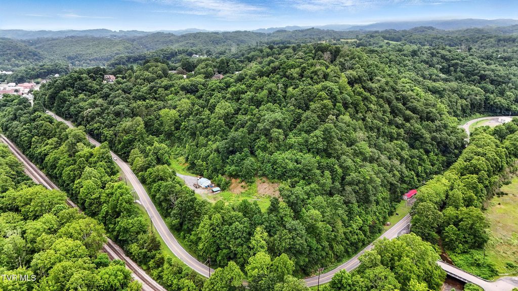 Photo of 16827 Wise Street, Saint Paul, VA 24283 (MLS # 9981775)