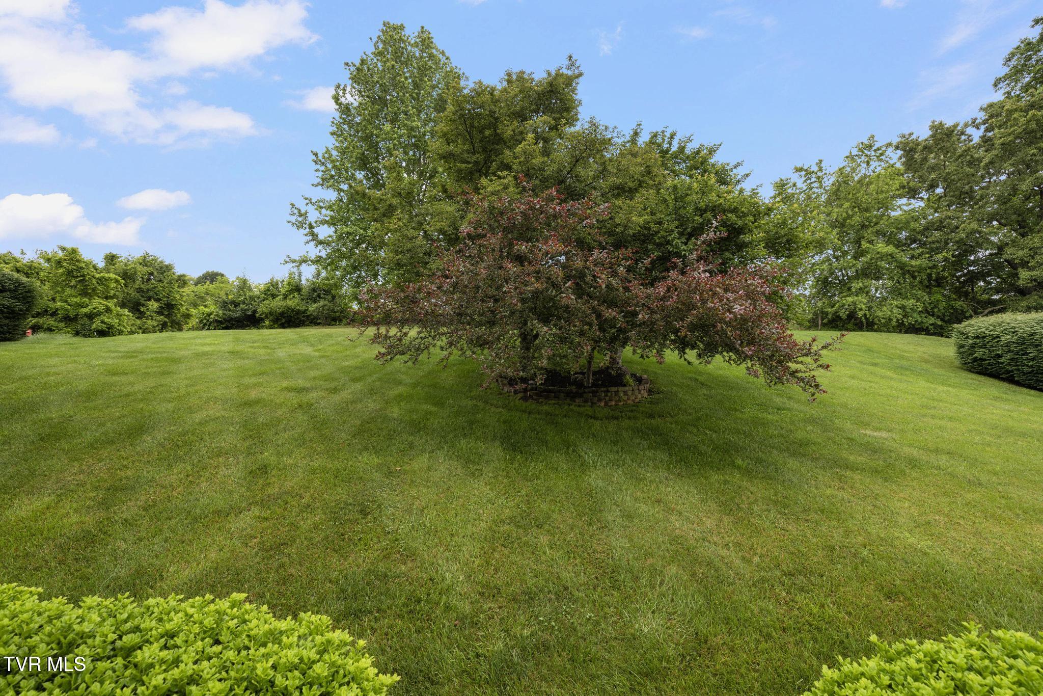 408 Mizpah Hills Drive, Johnson City, Tennessee image 48