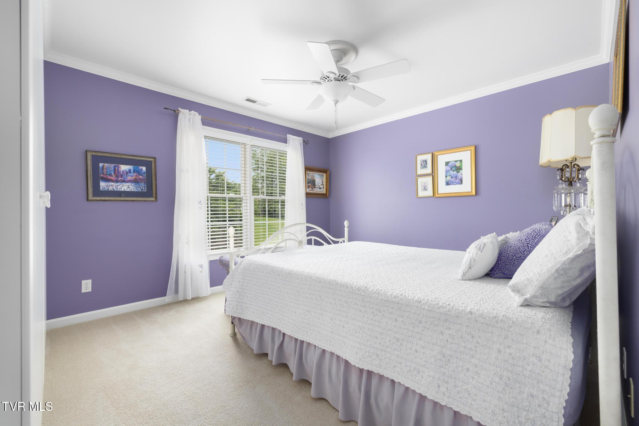 408 Mizpah Hills Drive, Johnson City, Tennessee image 36