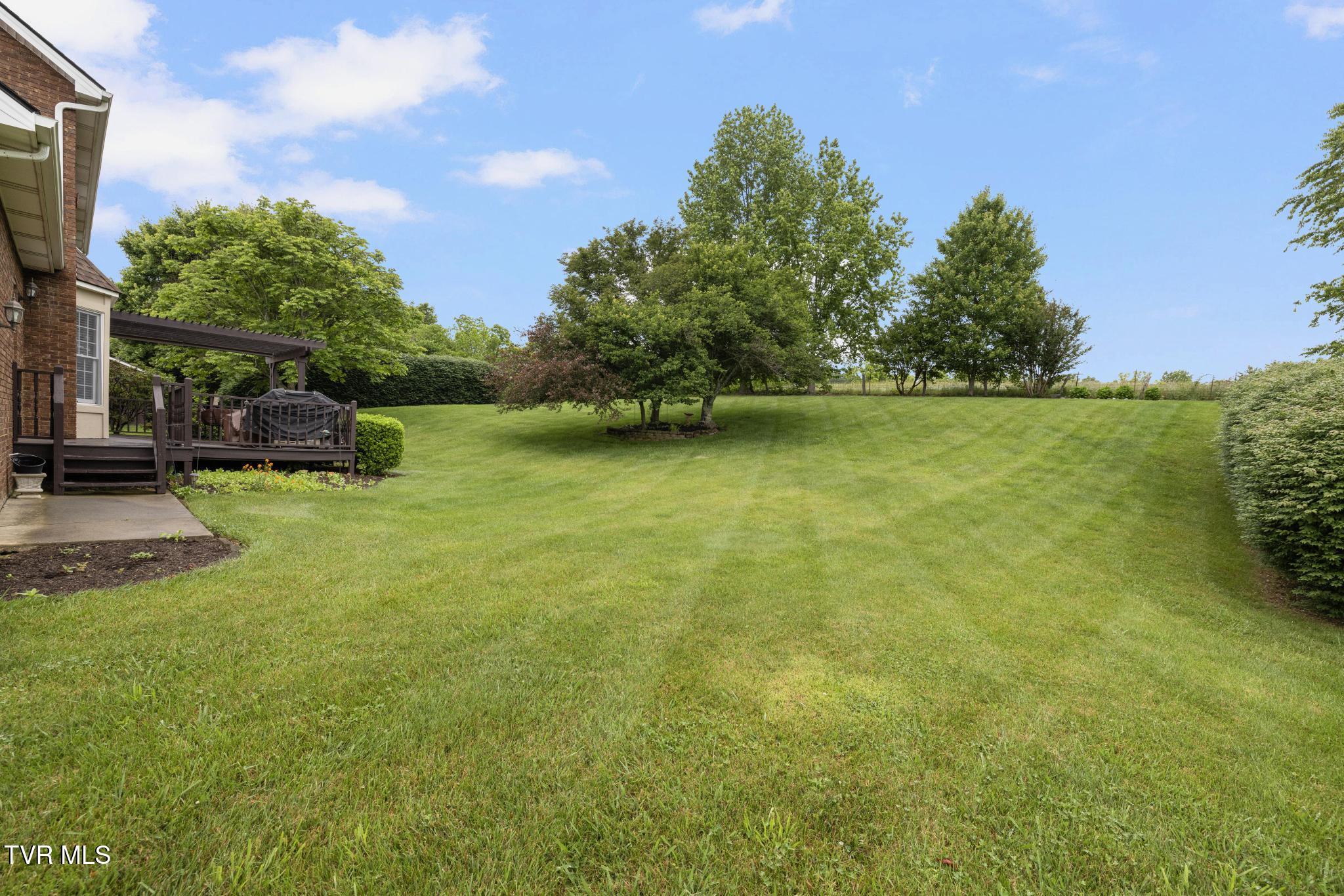 408 Mizpah Hills Drive, Johnson City, Tennessee image 47
