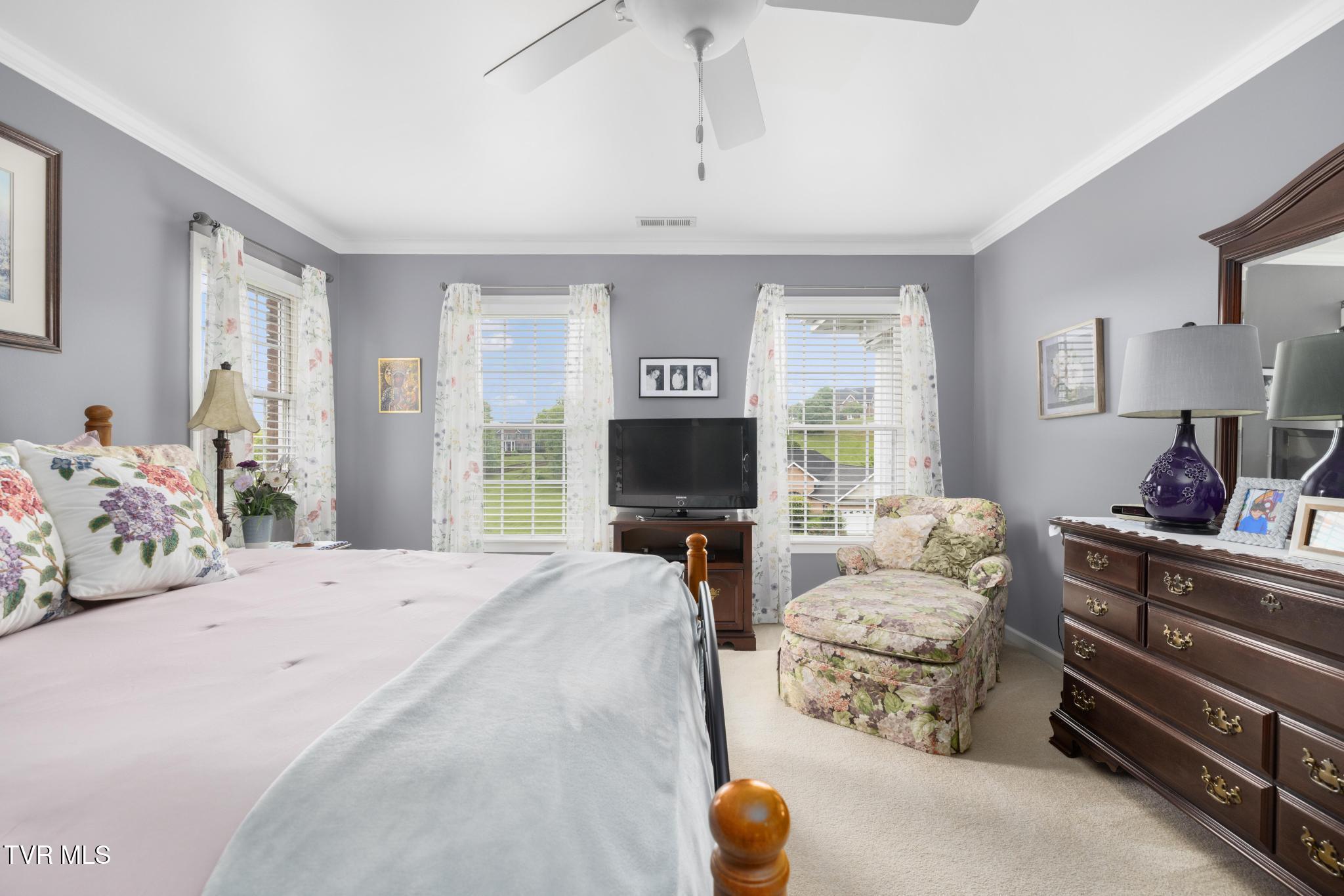 408 Mizpah Hills Drive, Johnson City, Tennessee image 38