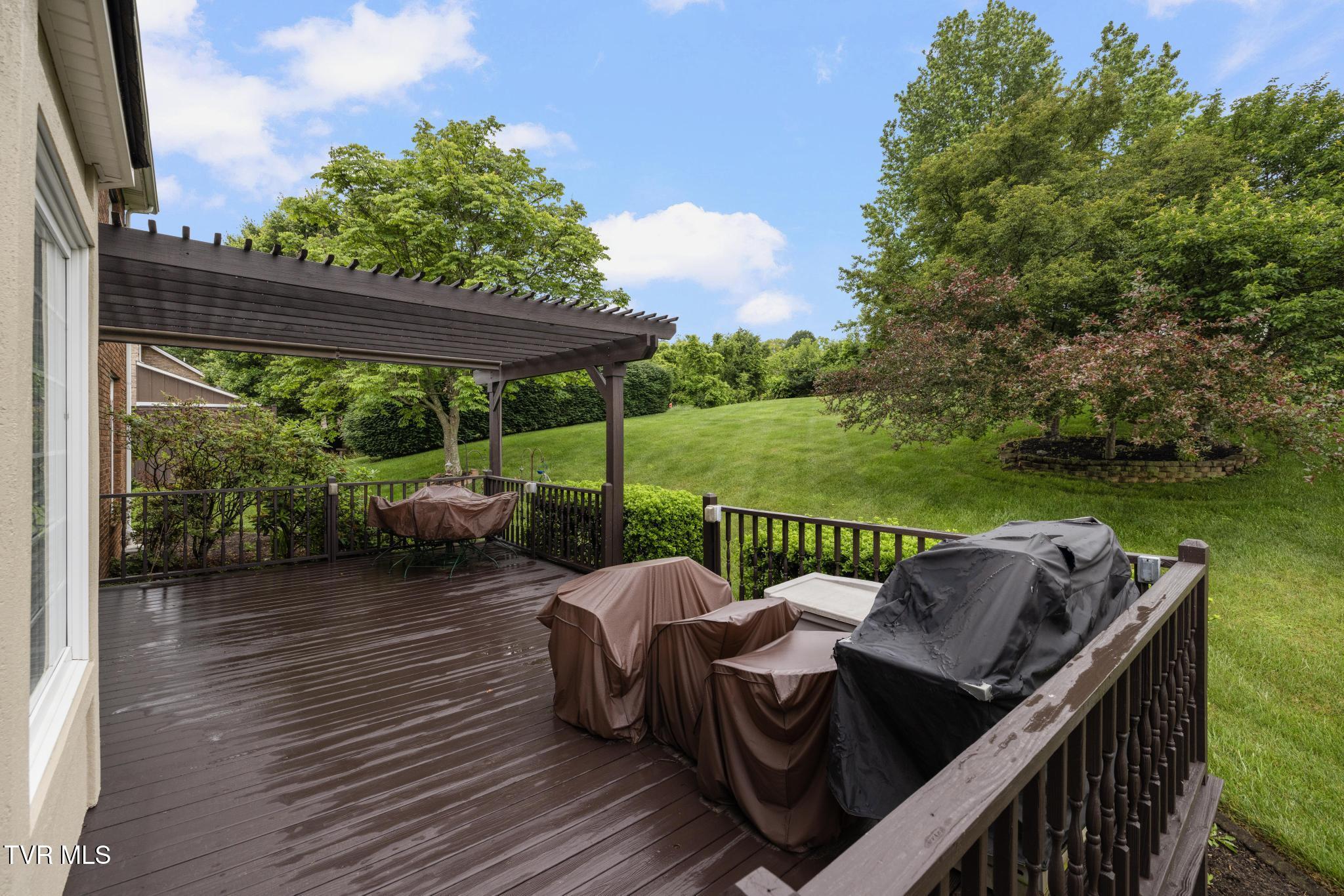 408 Mizpah Hills Drive, Johnson City, Tennessee image 45