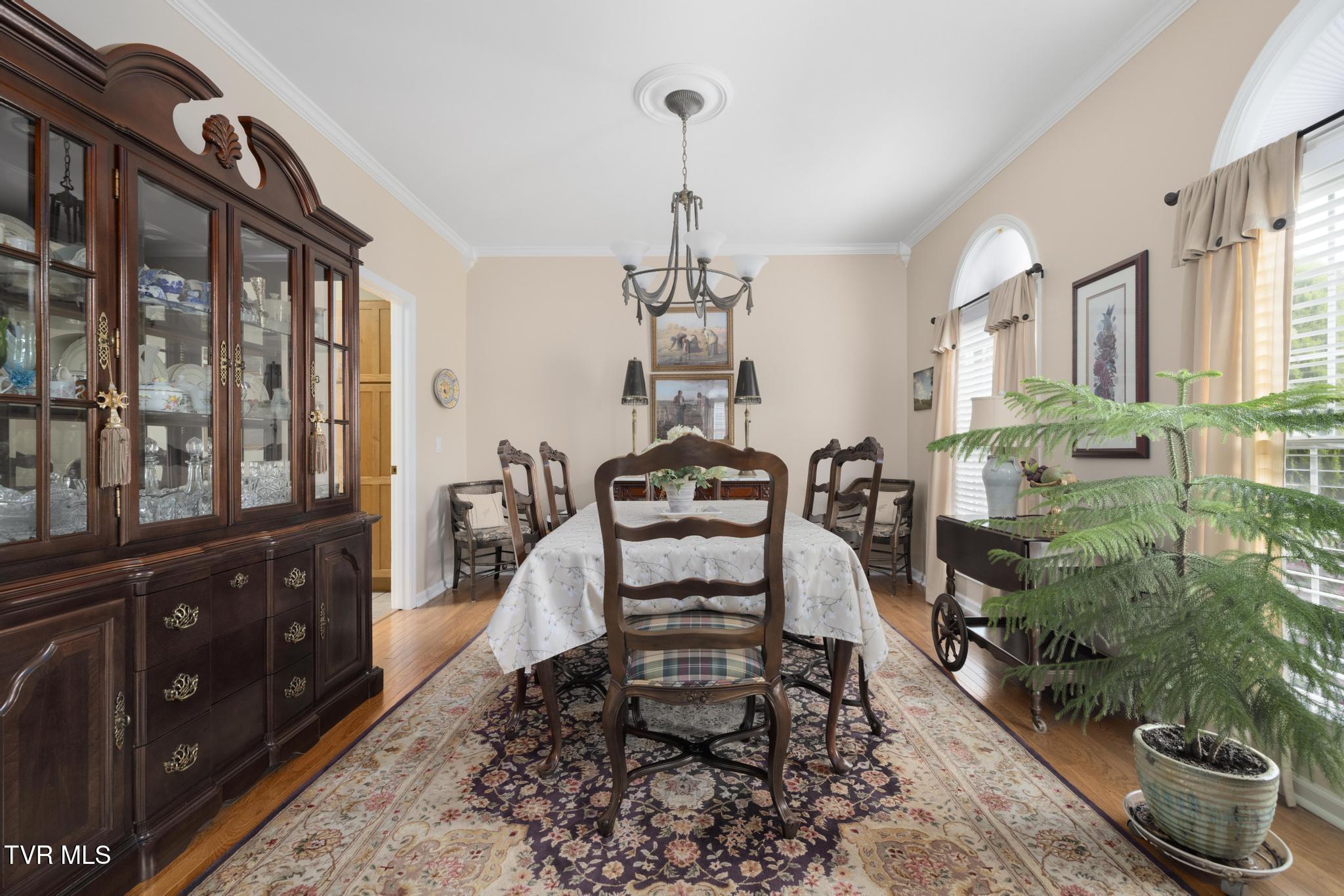408 Mizpah Hills Drive, Johnson City, Tennessee image 13