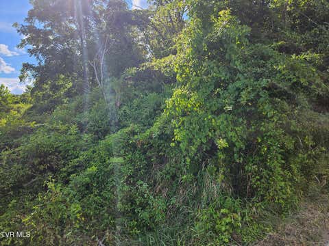 Vacant Land For Sale - Buckingham Road<br/> Coeburn, VA 24230