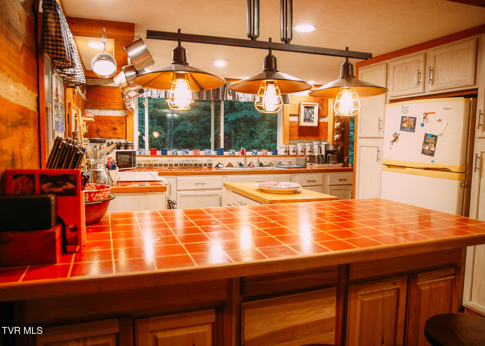 202 Blue Grass Road, Roan Mountain, Tennessee image 10