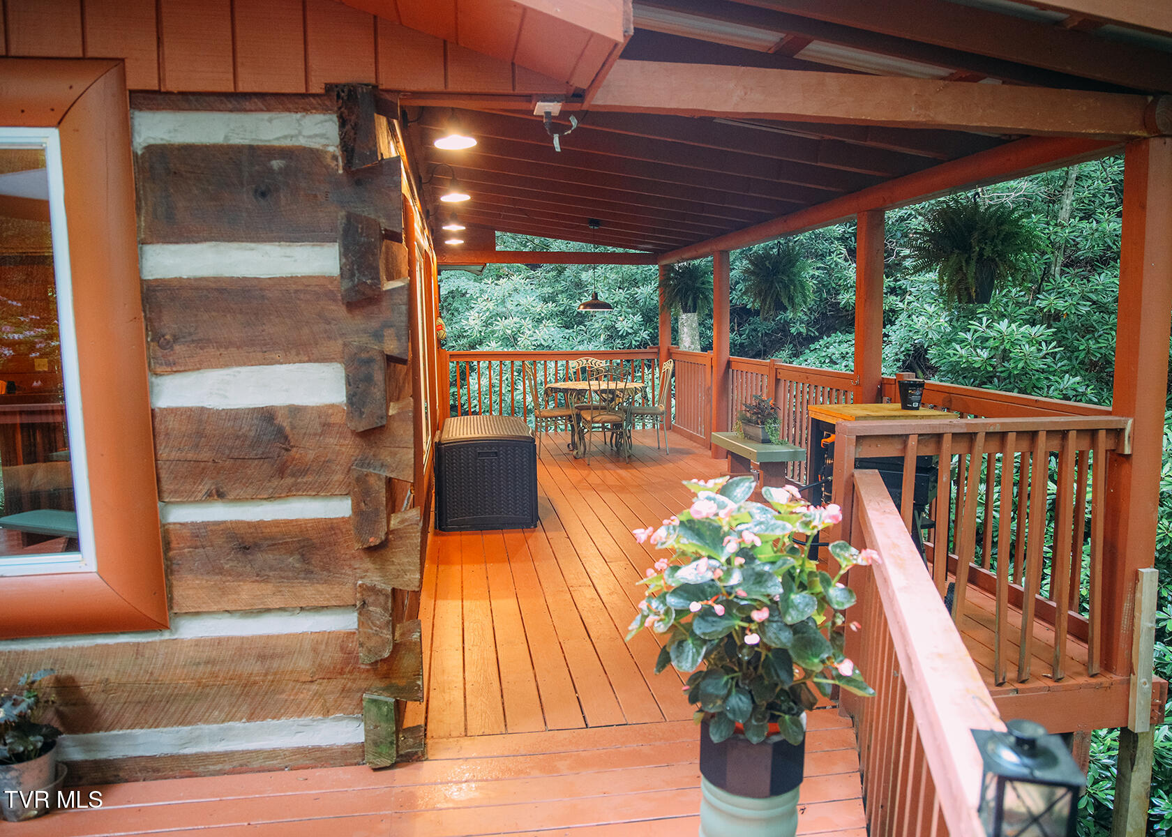 202 Blue Grass Road, Roan Mountain, Tennessee image 7