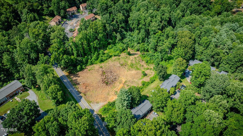 Photo of Tbd Timberlake Road, Johnson City, TN 37601 (MLS # 9984553)