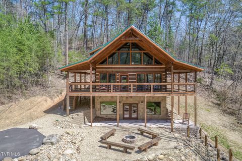 Photo of 2579 Black Bear Lane, Sevierville, TN 37876 (MLS # 9993231)