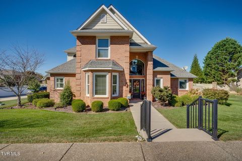 507 Oliver Approach Johnson City TN 37601