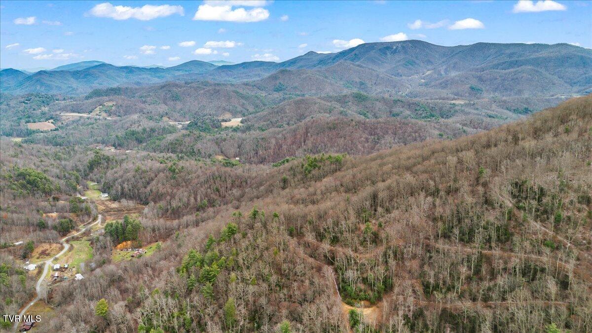 Tbd Stockton Road, Flag Pond, Tennessee image 11