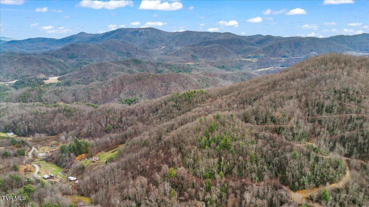 Tbd Stockton Road, Flag Pond, Tennessee image 12